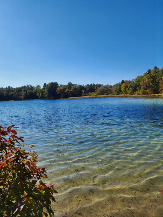 Clear lake with sandy bottom & rippled water, autumn forest beyond. Serene nature scene for your rv rental trip.. Cruiser RV MPG Ultra Lite 2020