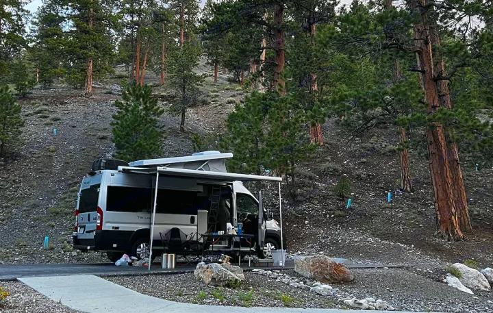 A silver rv rental with an extended awning is parked at a gravel campsite among tall pine trees.. Thor Tellaro 2022