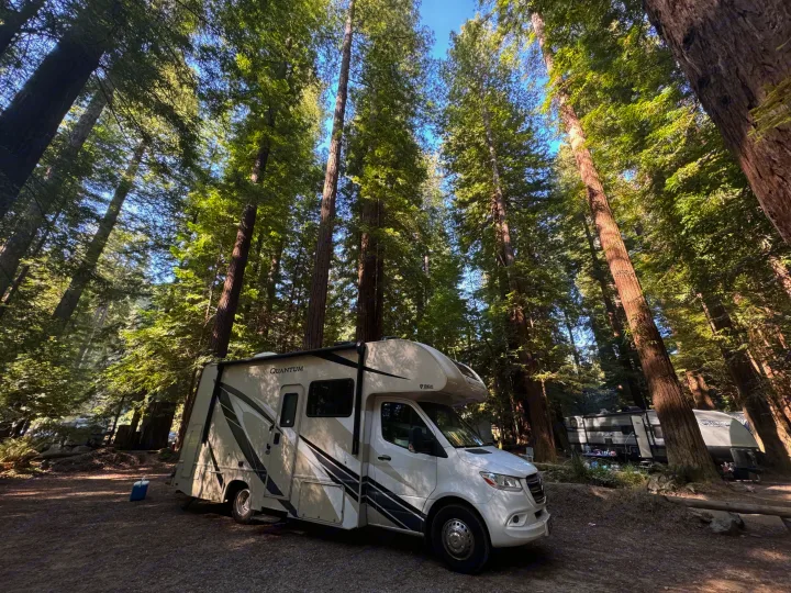 RV rental parked in a towering redwood forest campground. A white RV is nestled among tall trees under a clear sky.. Thor Quantum 2022