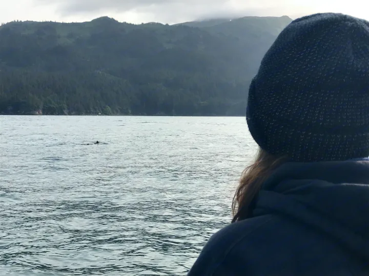 Wildlife sighting: A person watches a seal in a scenic bay. Your RV rental adventure awaits these views!. Thor Four Winds 2019