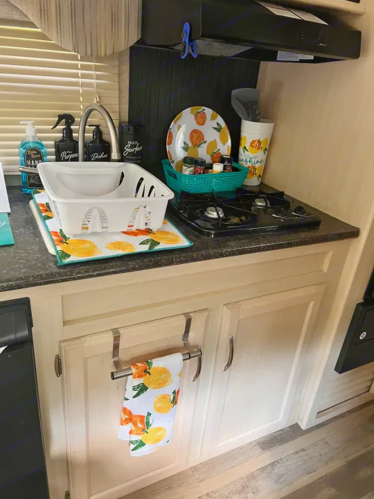 A tidy RV rental kitchen counter featuring a sink, dish rack, stove, and cheerful citrus-themed decor and cleaning supplies.. Minnie Micro Minnie 2018