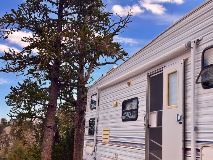 White RV rental parked among tall evergreen trees under a blue sky, offering a beautiful nature escape.. Forest River Cherokee Lite 2000