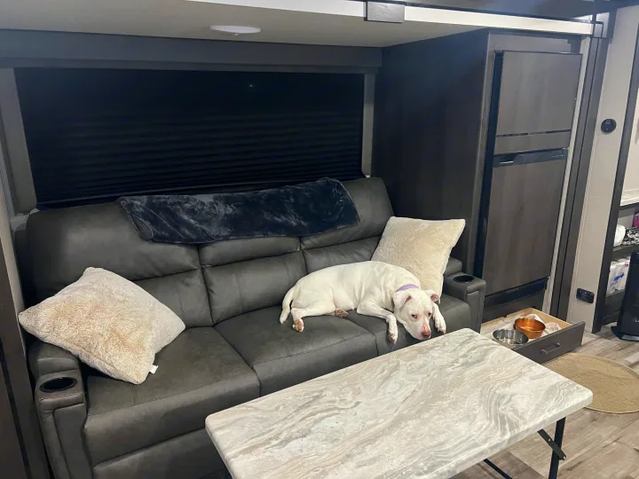 Cozy pet-friendly RV rental interior with a white dog on a sofa, marble table, and kitchenette area.. Grand Design Transcend Xplor 2022