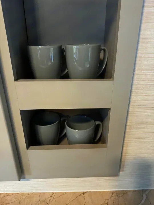 Clean RV rental interior: practical built-in gray shelving neatly displays four matching gray mugs.. Forest River Vibe 2021