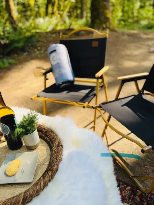 Campsite comfort with your RV rental! Two chairs, picnic setup, and a fluffy rug under trees for outdoor relaxation.. Winnebago Eurovan Camper Eurovan Camper 2023