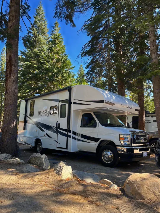 White RV rental (Odyssey Entegra SE) parked in a sunny, forested campground with tall trees and dirt ground.. Entegra Odyssey SE 2025