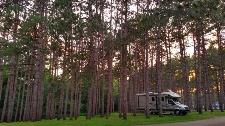 A light-colored RV rental sits on green grass amidst tall pine trees, illuminated by a soft sunset.. Coachmen Prism 2009