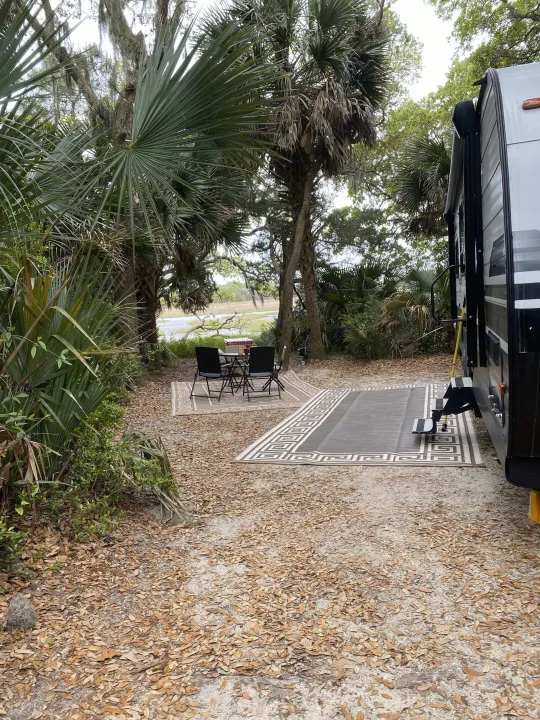 RV rental at a scenic campsite by the water, with outdoor rugs, a picnic table, and palm trees.. Grand Design Transcend Xplor 2021
