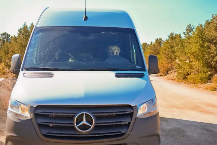 Dog "driving" a white RV rental van on a dirt road, ready for a pet-friendly adventure.. Mercedes-Benz Sprinter 2021