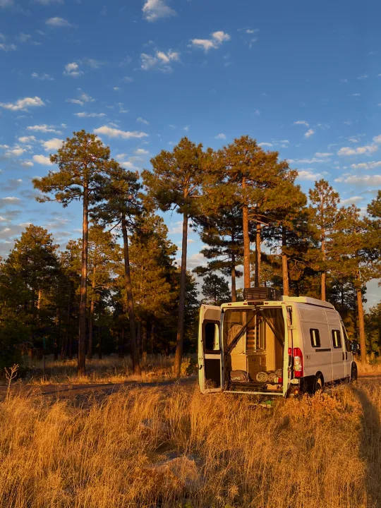 White RV rental van parked in sunlit golden grass within a pine forest, back doors open, ready for adventure.. Winnebago Solis 59PX 2025