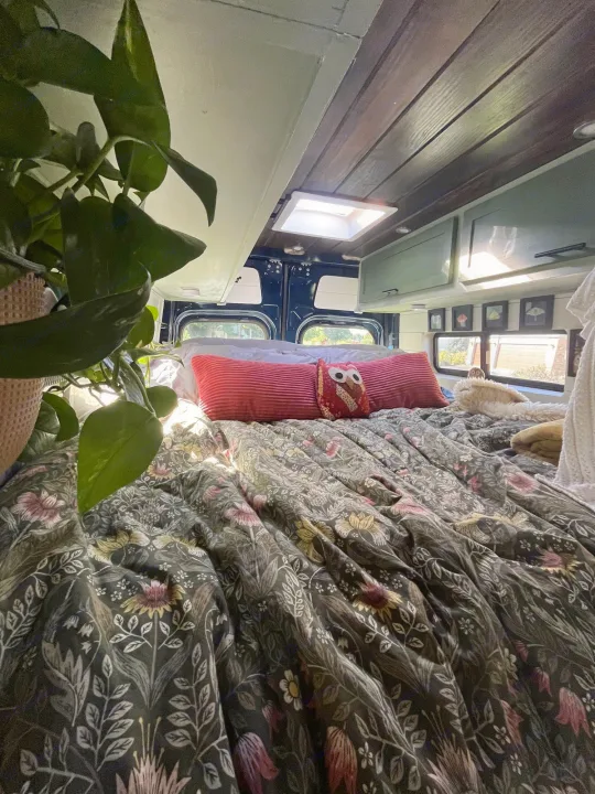 Step inside this cozy RV rental: floral bed, red pillows, a vibrant plant, & wooden ceiling.. Mercedes Sprinter Motorhome Campervan RV 2022
