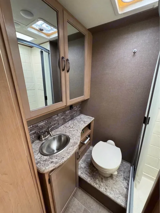 RV rental bathroom: A compact space featuring a sink, vanity, mirror cabinet, toilet, and a visible shower area.. Thor Motor Coach Chateau 2019