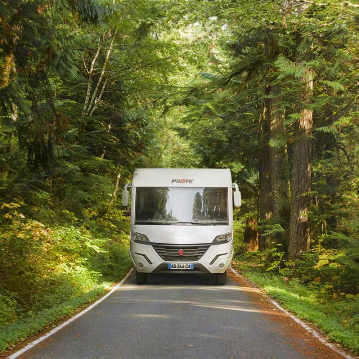 White RV rental parked centrally on a secluded forest road, surrounded by tall green trees. Ideal for a nature escape.. Pilote G740FGJ EVIDENCE 2025
