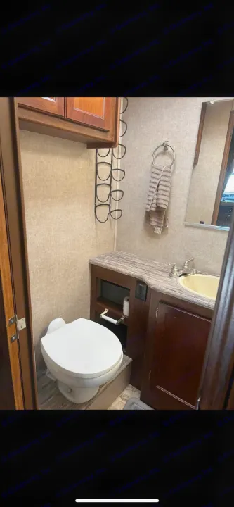 RV rental bathroom interior showing a white toilet, vanity with sink, mirror, and convenient storage.. Forest River Coachmen Pursuit 2017