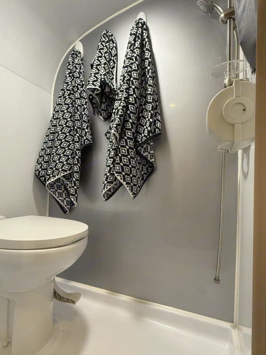 RV rental's compact wet bath showing a white toilet, black and white patterned towels, and shower fixtures.. InTech RV SOL 2021