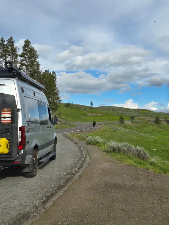 Silver RV rental parked roadside in a lush green valley, with a bison walking down the winding road ahead, under a cloudy sky.. Entegra Coach Launch 2023