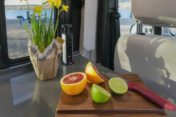 Enjoy fresh citrus, daffodils, and a pop-up outlet in your RV rental kitchen overlooking a lakeside campsite.. Entegra Coach Ethos 2024