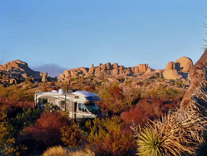 Explore the desert! This RV rental is nestled among Joshua trees and rock formations under a clear sky, perfect for adventure.. Fleetwood Tioga 2011