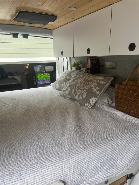 Inside a comfy RV rental: bed with grey bedding, wood ceiling, overhead cabinets, and a view outside the window.. Ford Custom Transit 2019