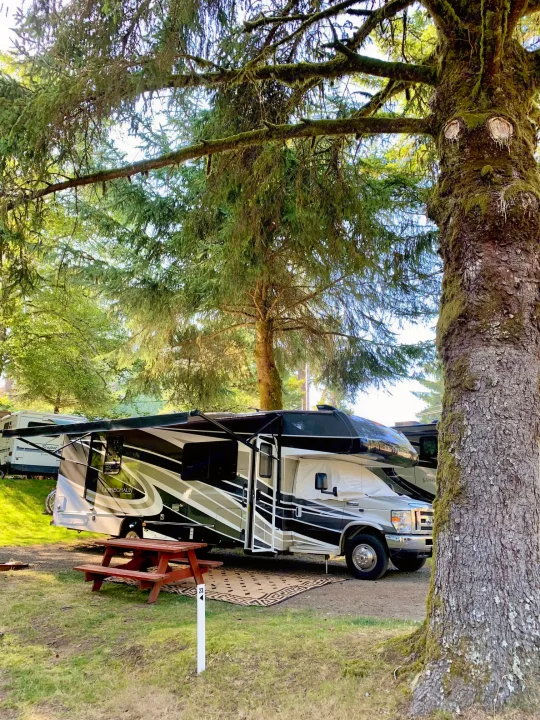 A modern Class C rv rental is parked at a shaded campsite #23 with a picnic table under large, mossy trees in an RV park.. Forest River Coachmen Leprechaun 2020