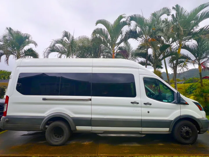 A white Ford Transit van, possibly an rv rental, sits amidst lush tropical palms with distant green mountains.. Ford Transit Custom 2016