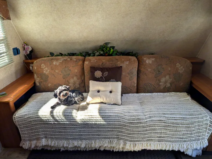 A cozy dog naps on a couch with a crocheted blanket inside a well-appointed RV rental. A home on wheels for travel.. Keystone RV Zeppelin Z-II 2006