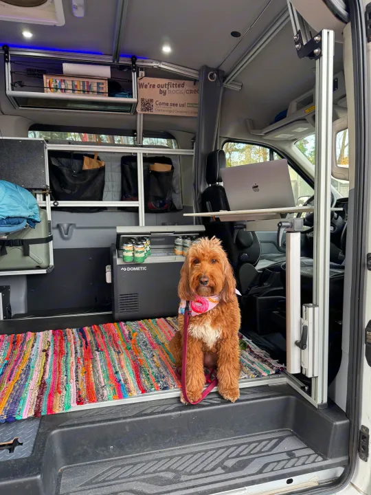 Explore in this comfy RV rental! Pet-friendly van with custom storage, a Dometic fridge, and a mobile office setup.. Ford Transit 2017