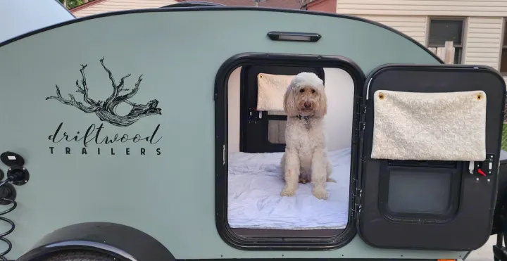 Pet-friendly rv rental: Adorable dog sits in a light green Driftwood teardrop trailer, ready for adventure.. Driftwood Custom 2021