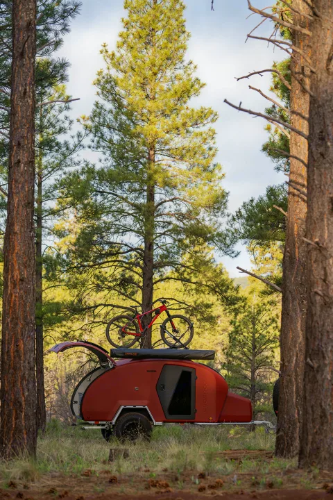 Red escapod teardrop RV rental with a mountain bike mounted on top, parked in a sunlit pine forest.. Escapod Topo 2 2024