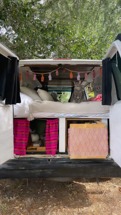Pet-friendly RV rental offers a comfy bed for you and your cat, plus smart storage for van travels.. Ford Econoline 150 2011