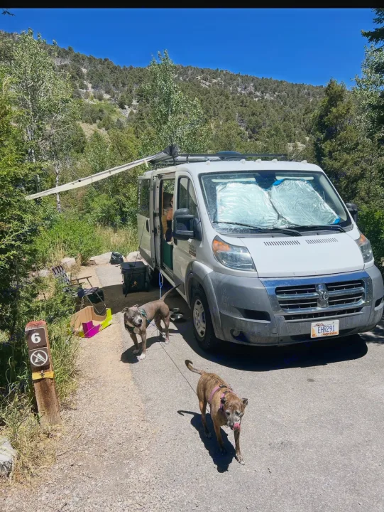 White RV rental camper van with extended awning at campsite #6. Two dogs enjoy the sunny mountain setting.. RAM Promaster 2017