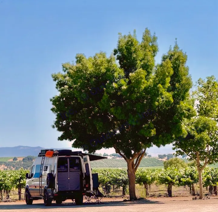 RV rental camper van parked at a vineyard under a large tree. Ideal travel setup on a clear, sunny day.. Storyteller Overland Beast 2023