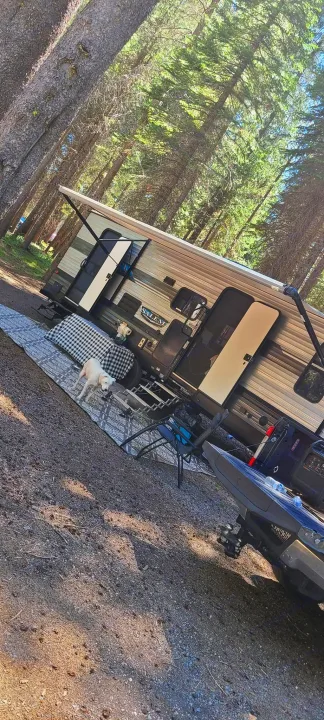 An RV rental travel trailer with an extended awning is set up at a shaded campsite, featuring a dog on a mat.. Forest River Salem 2021