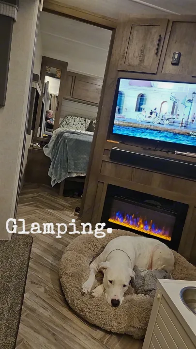 Glamping in an RV rental: a comfy dog on its bed, an electric fireplace, and a TV for ultimate relaxation.. Forest River Salem 2021