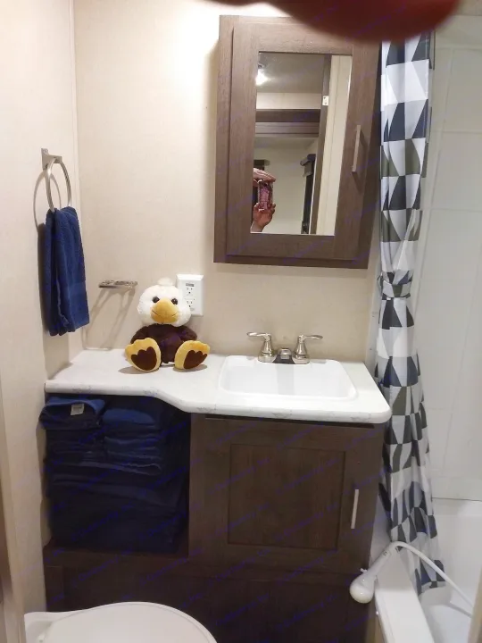 A clean RV rental bathroom featuring a vanity with sink, mirror, shower, towels, and a plush eagle toy.. Forest River Salem 2018