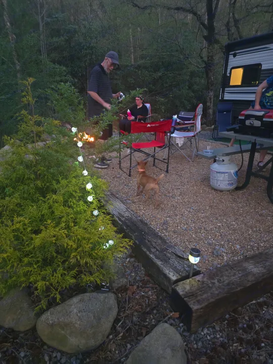Family and dog at an RV rental campsite, enjoying a campfire and festive string lights at dusk.. Palomino Puma 2022