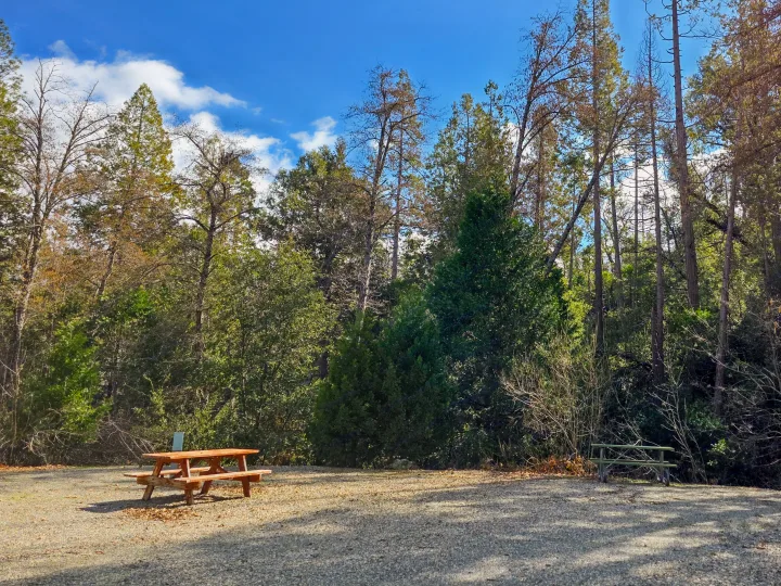Ideal RV rental campsite with picnic tables among the tall forest trees, perfect for a peaceful getaway.