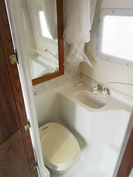 Compact RV rental bathroom featuring a beige toilet, white sink, mirror, and shower curtain.. Ford F350 2003