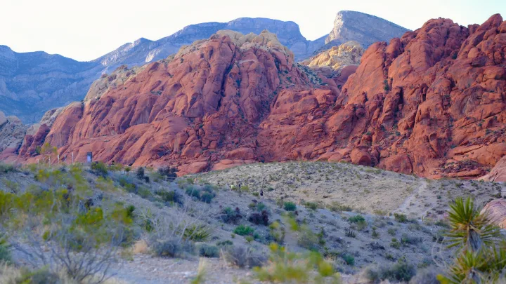 Scenic Red Rock Canyon: iconic red mountains, desert trails, and hikers on a path. Enjoy the views with an RV rental adventure.. Ford Roofnest 2024