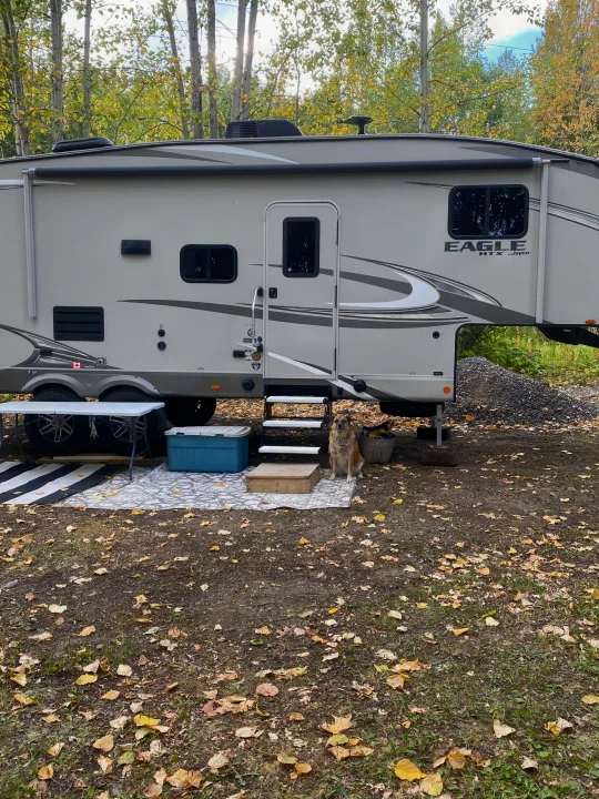 Cozy RV rental setup for fall camping. A large fifth-wheel camper with a dog by the steps amidst autumn leaves.. Dutchmen Kodiak Ultra Lite 2020