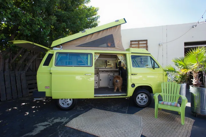 Yellow VW camper van RV rental with pop-top open & fluffy dog peeking out. Outdoor setup includes green chair & mats.. Volkswagen westfalia 1984