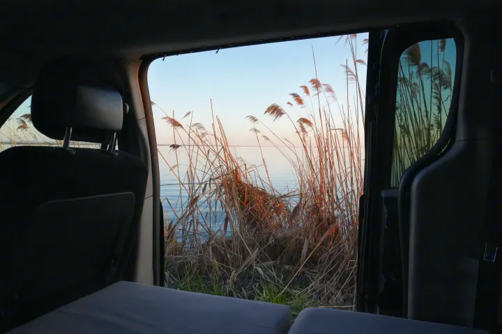 Relaxing RV rental view: From inside the van, see serene water and tall reeds through the open side door.. Dodge Grand Caravan 2014