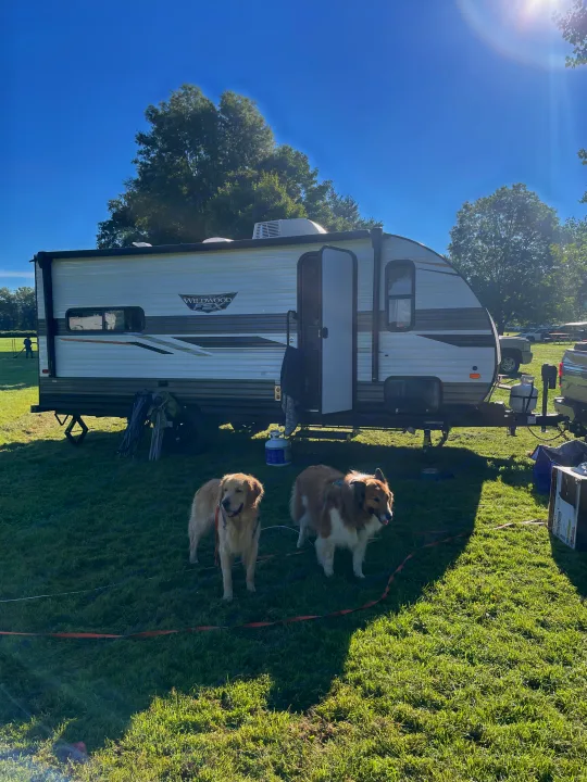 Golden Retriever and Collie mix enjoying the sunshine by their RV rental and campsite.. Forest River Wildwood FSX 2022
