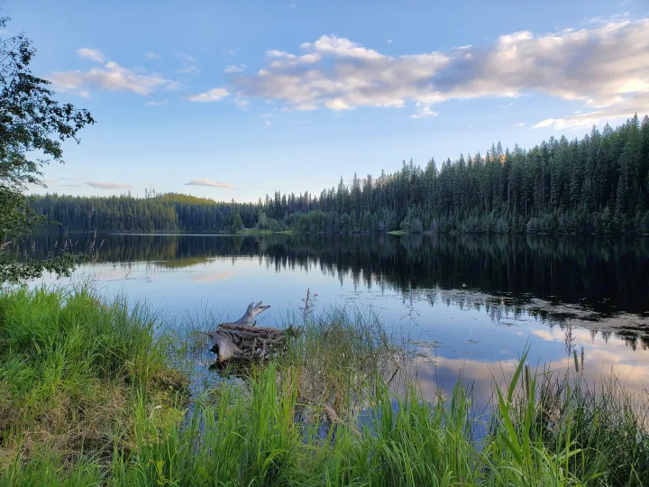 RV rental escape: peaceful lake reflects lush forest & blue sky. Green grass foreground, ideal for nature adventures.. Gmc Savanna 2006