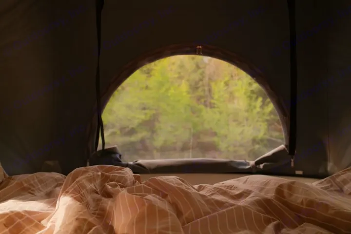 Experience serene mornings in your RV rental! A cozy bed faces a rounded, screened window with lush green forest views.. Winnebago Solis 2022
