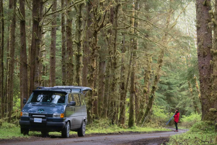 An RV rental campervan on a mossy forest road, with a person in a red jacket exploring nearby trees.. Volkswagen eurovan 1996