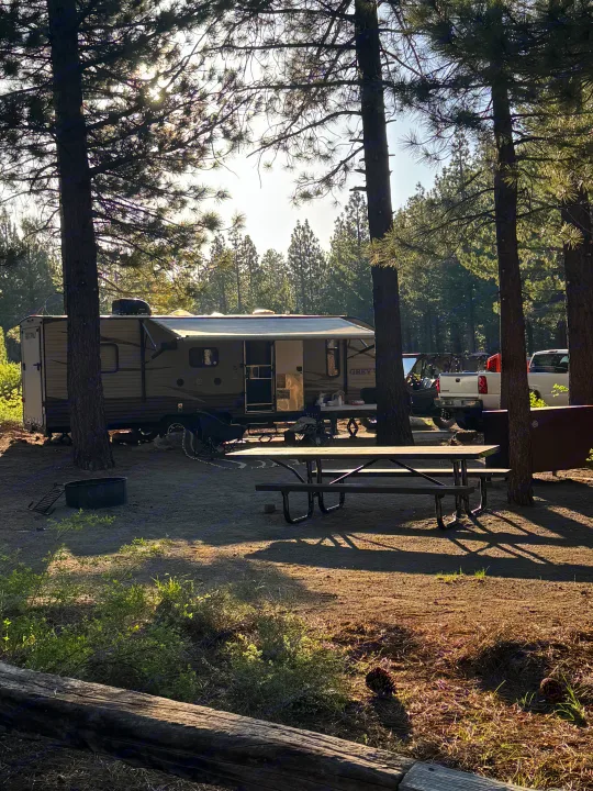 An RV rental is parked at a sunny campsite in a pine forest, with a picnic table, fire pit, and vehicles nearby.. Forest River Cherokee Grey Wolf 2016