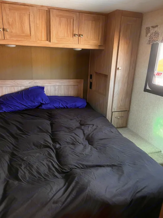 A comfortable RV rental bedroom featuring wood cabinets, a full-size bed with purple pillows, and a wardrobe.. Forester Forester Motorhome 2020