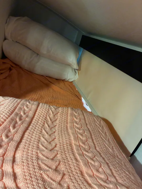 Comfortable RV rental bunk bed featuring white pillows and soft peach and pink knit blankets.. Forest River Rockwood Geo Pro 2024