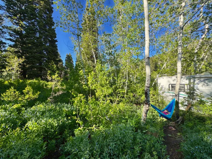 Child napping in a blue hammock at a peaceful rv rental campsite, surrounded by lush green trees and clear blue sky.. Coachmen Leprechaun 2001